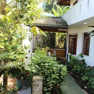 Homestay Alex, Kandy
